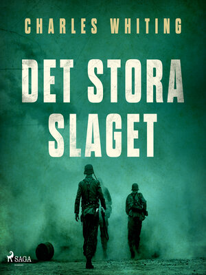 cover image of Det stora slaget